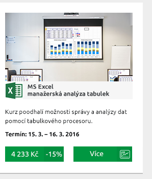 MS Excel  manažerská analýza tabulek