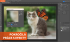 Adobe Photoshop workshop – kurz praktického využití aneb procvičování dělá mistra