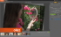 Základní + Pokročilý kurz Zoner Photo Studio – zvýhodněný set 2 kurzů