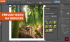 Kurz využití AI pro grafiky – Adobe programy
