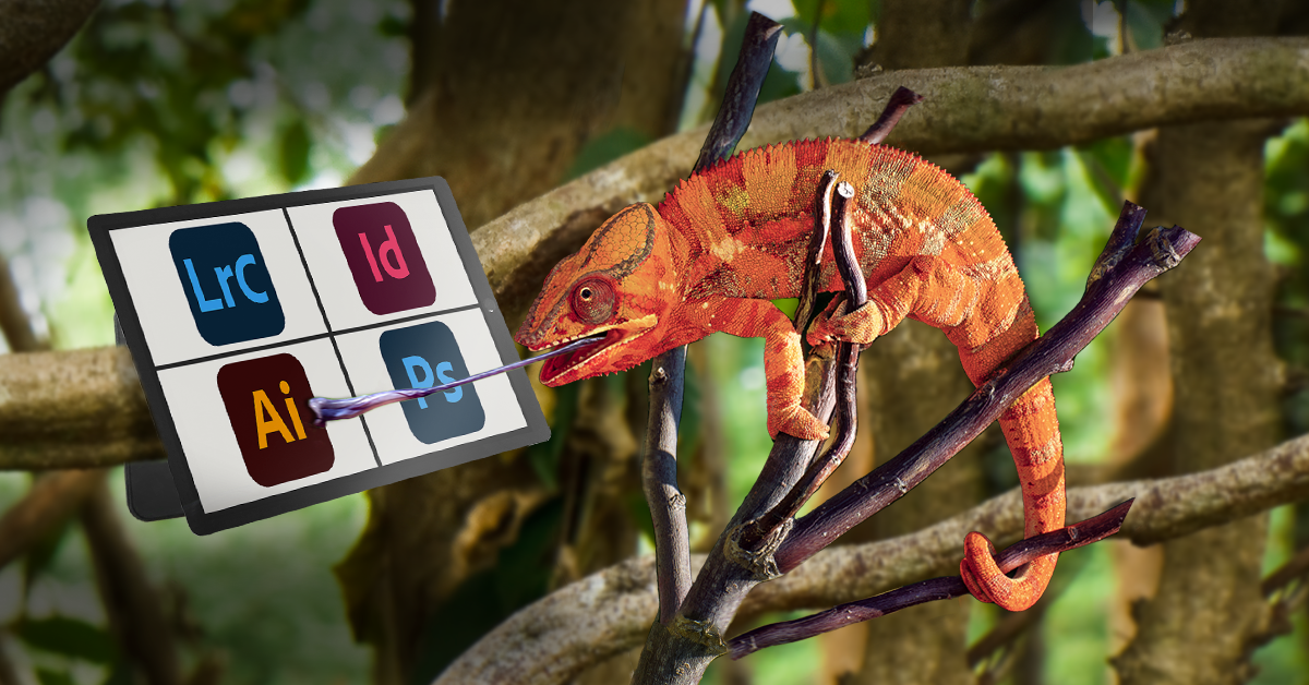 Kurzy grafických programů Adobe pro začátečníky i pokročilé a dalších programů pro grafiky