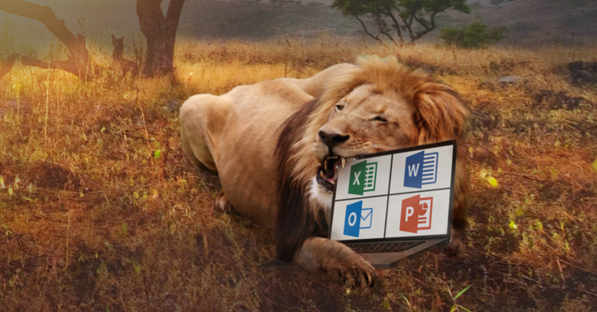 Kurzy Microsoft Excel od začátečníků až po experty