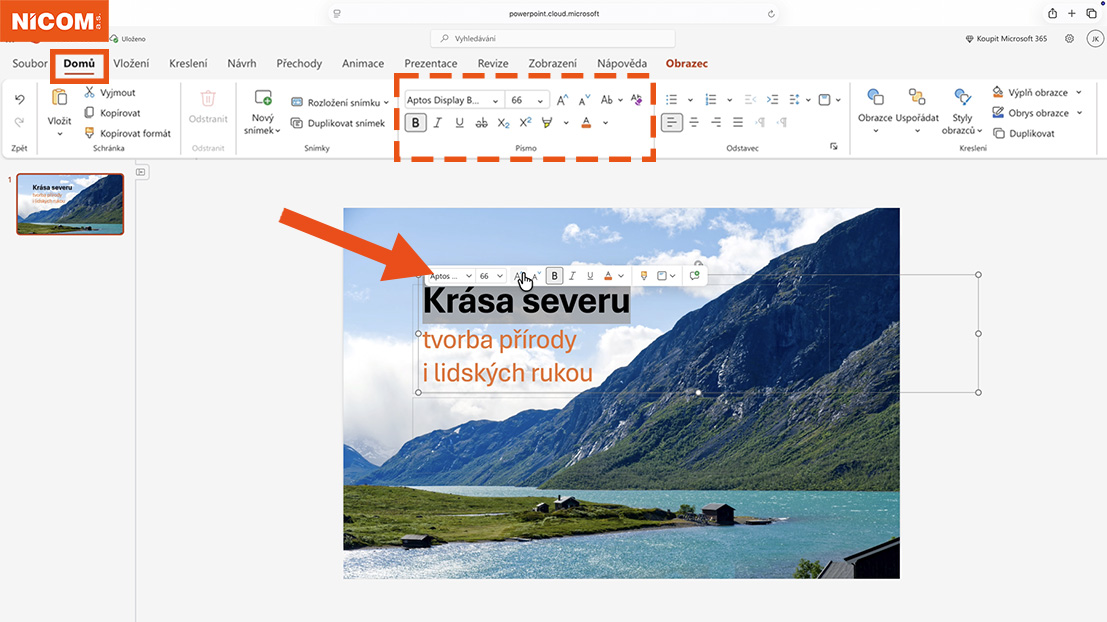 Editace textu