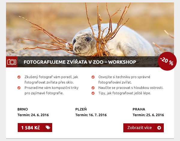 Fotografujeme zvířata v ZOO – workshop